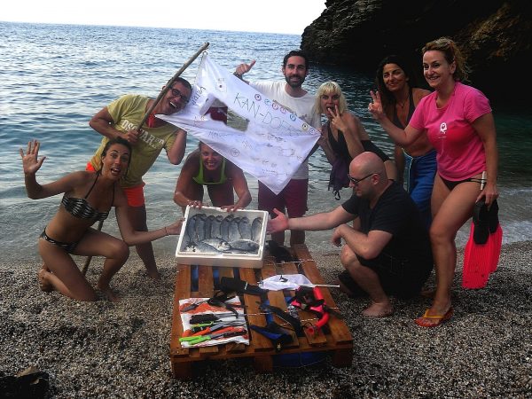 Survivor Activity on an Island