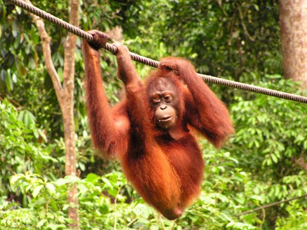 Adventure in Malaysia