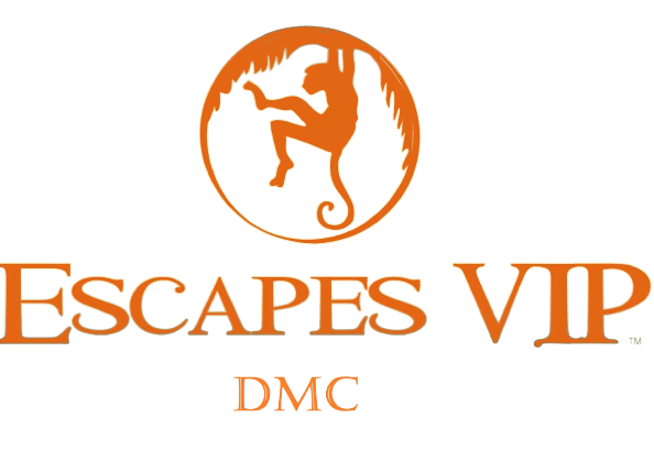 ECAPES_VIP_DMC1