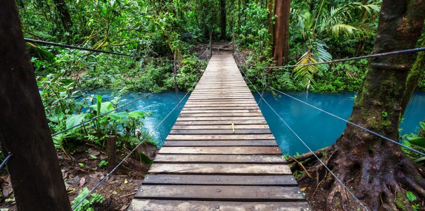 Handing Bridge in green jungle, Costa Rica, Central America